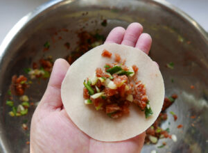 dumpling filling in won ton wrapper