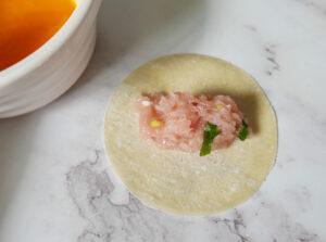Chicken potsticker filling and wonton wrapper - Cook SImply