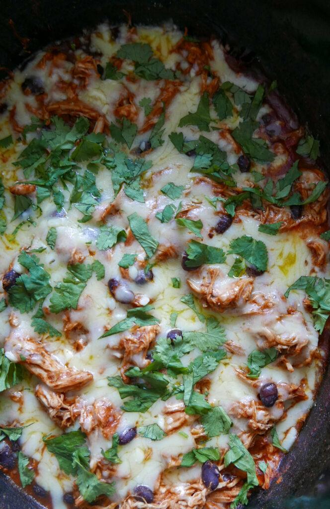 Crockpot chicken enchiladas with cheese and cilantro - Cook Simply