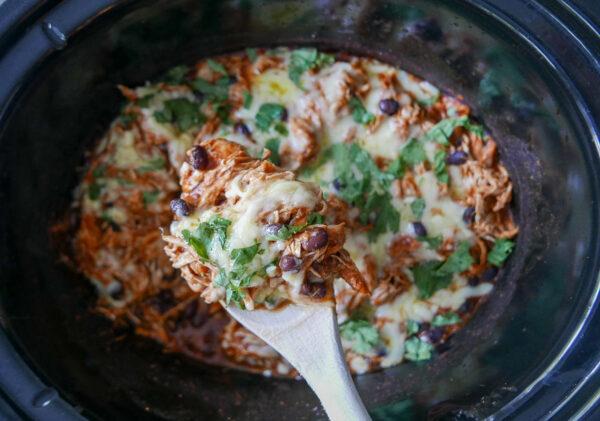 slow cooker chicken enchilada recipe - Cook Simply