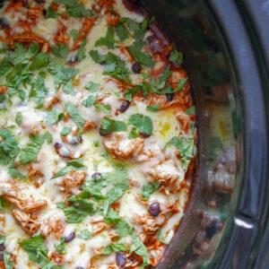 slow cooker chicken enchiladas - Cook Simply